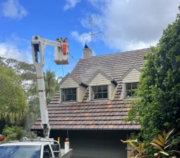 Roof Repair in Sydney
