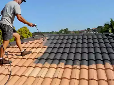 Roof Painting